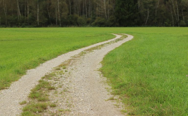 Werden im Landkreis Dillingen zu viele Feldwege geteert?