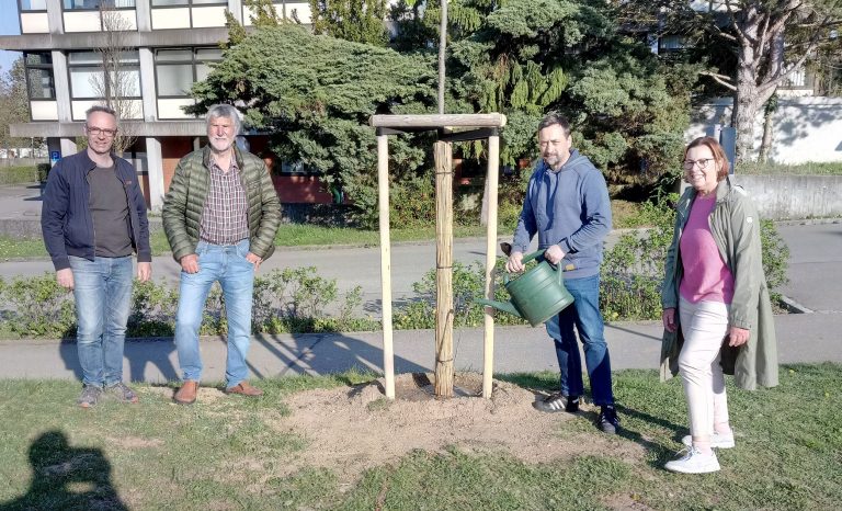 Ein junger Spross für das Wertinger “Lindenwegele”