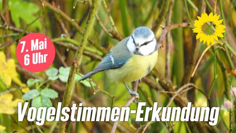 Vogelstimmen-Erkundung