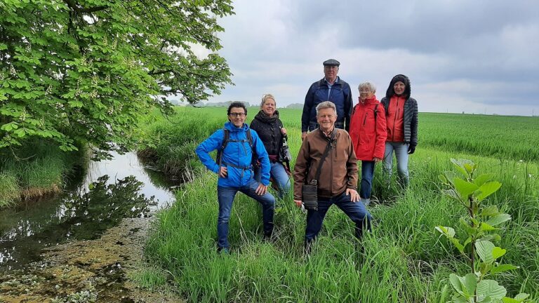 Wanderung im Donauried