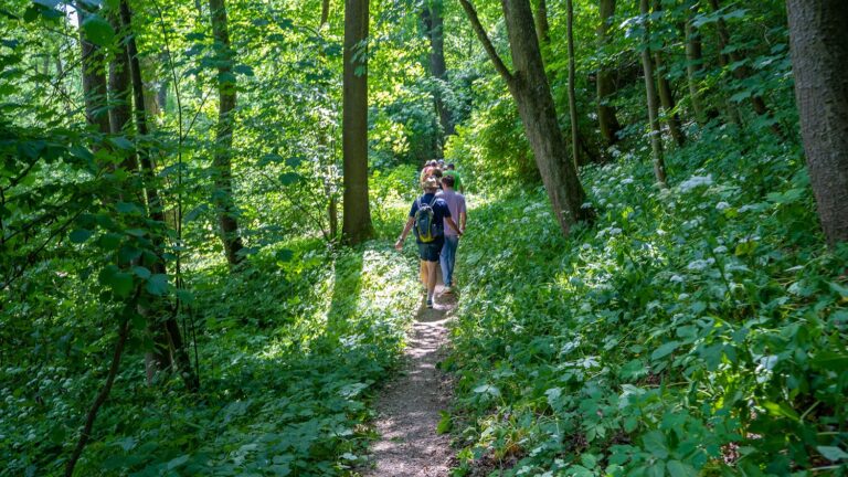 Grüne Wege in Schwaben – Donautalwanderweg