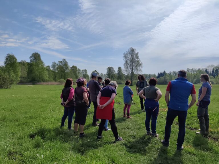 Spaziergang durch das Wittislinger Moor